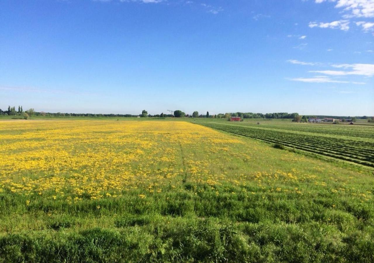 B&B Antica Cascina Boretto ภายนอก รูปภาพ