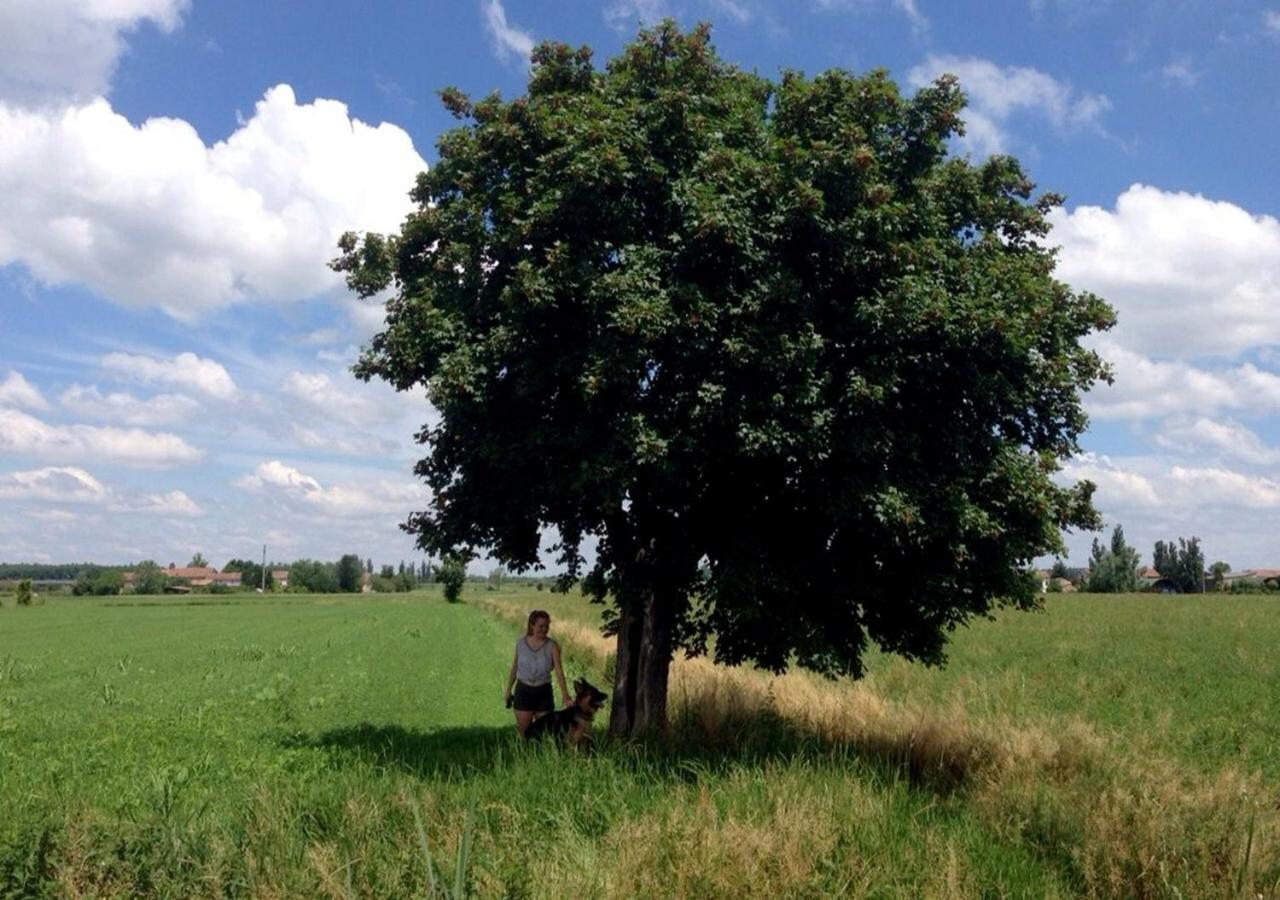 B&B Antica Cascina Boretto ภายนอก รูปภาพ
